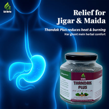 Thandak Plus